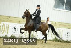 24R13_15900 proof
