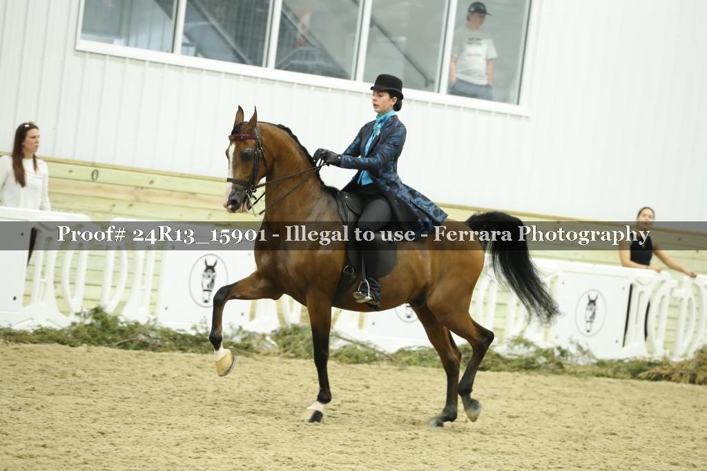 Proof 24R13_15901