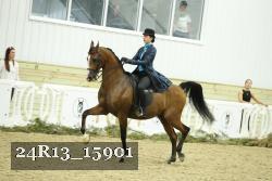 24R13_15901 proof