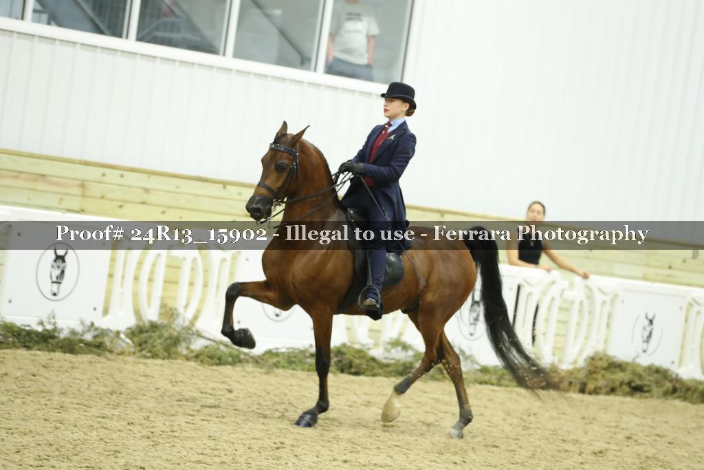 Proof 24R13_15902