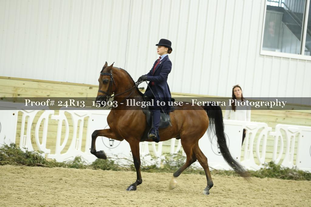 Proof 24R13_15903