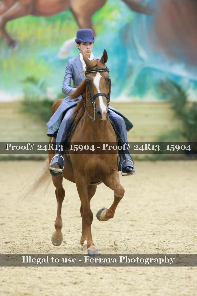 Proof 24R13_15904