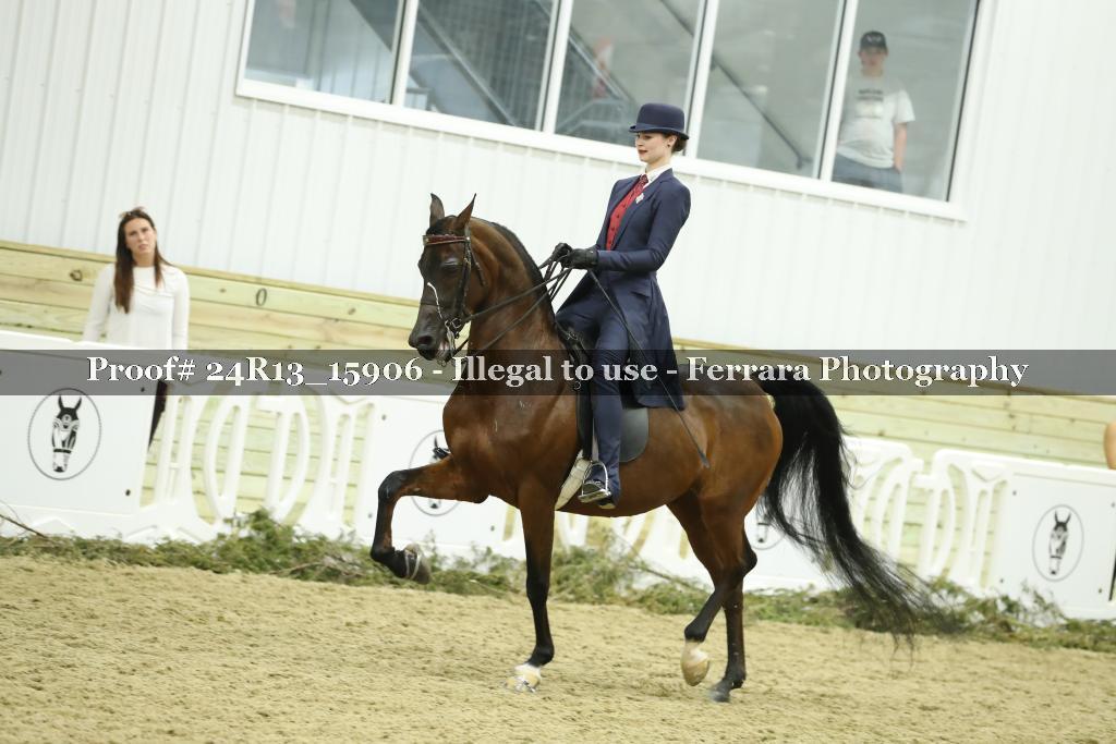Proof 24R13_15906
