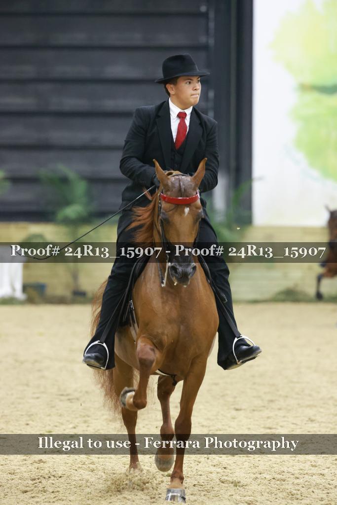 Proof 24R13_15907