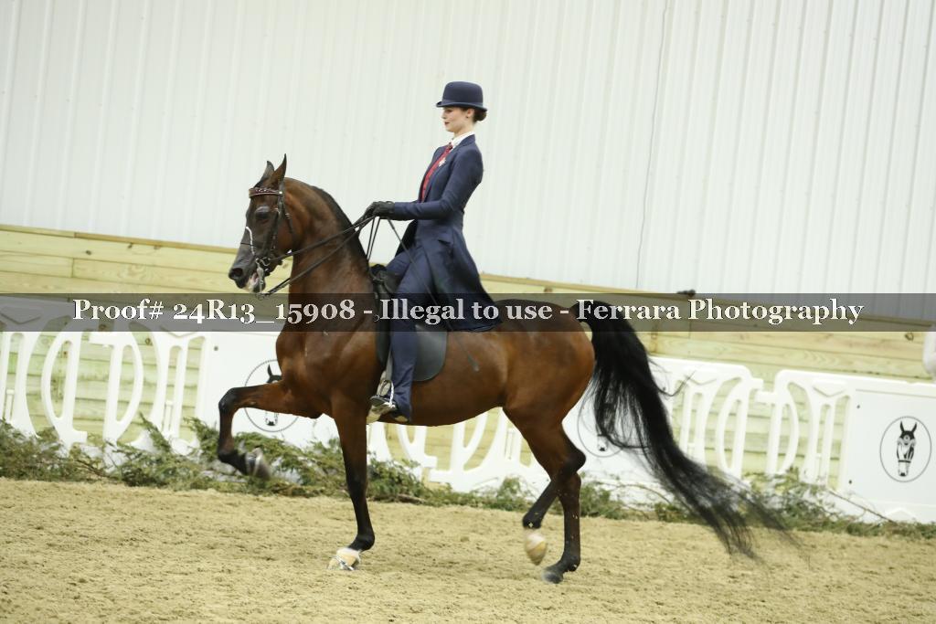 Proof 24R13_15908