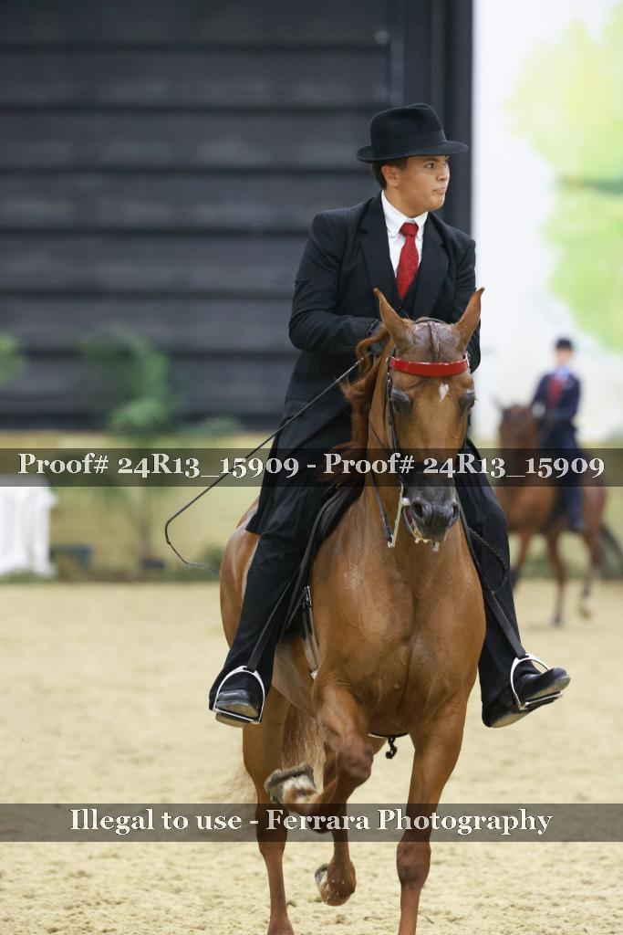 Proof 24R13_15909