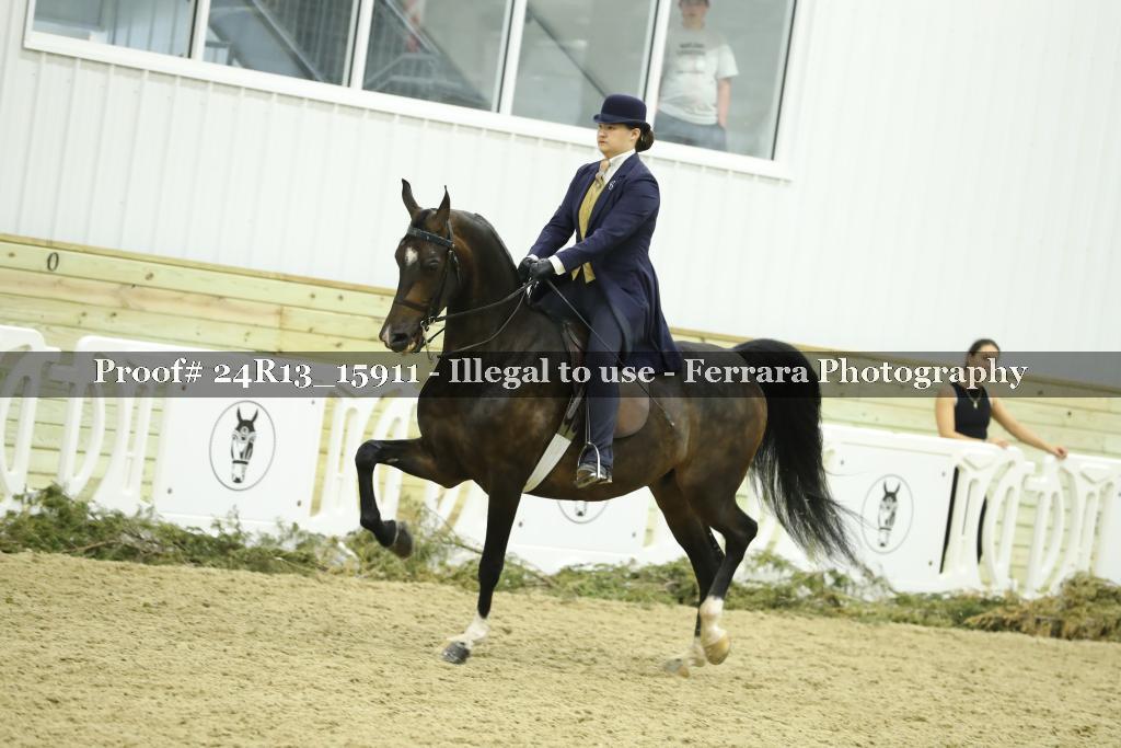 Proof 24R13_15911