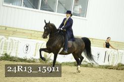 24R13_15911 proof
