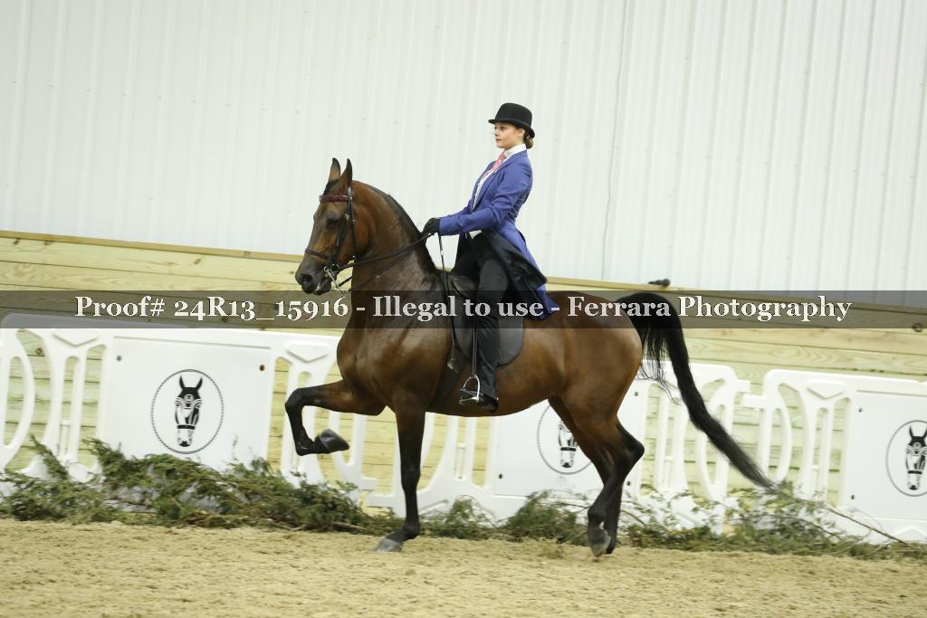 Proof 24R13_15916