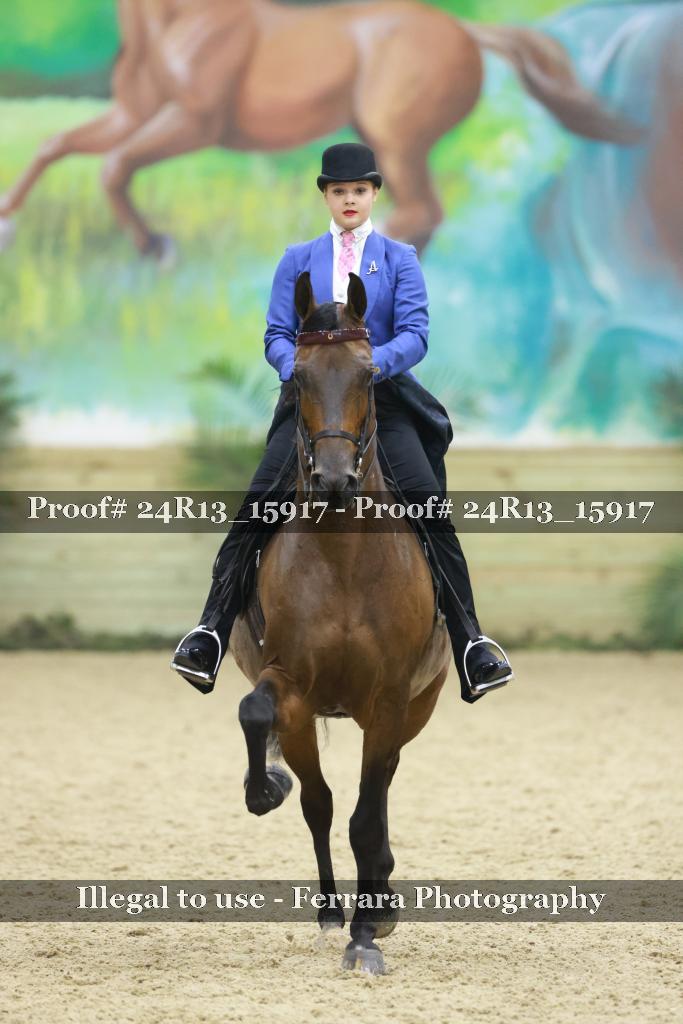 Proof 24R13_15917