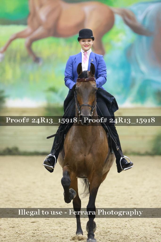 Proof 24R13_15918