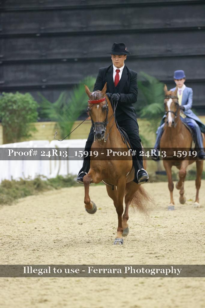 Proof 24R13_15919