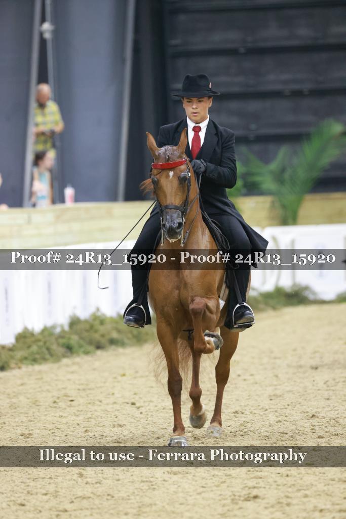Proof 24R13_15920