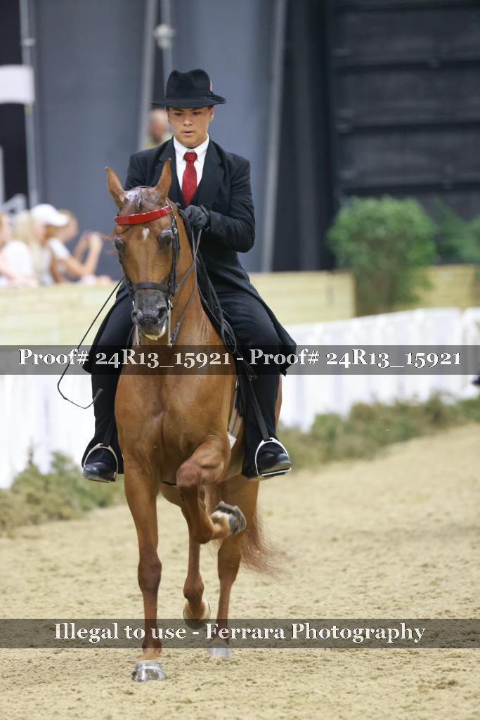 Proof 24R13_15921