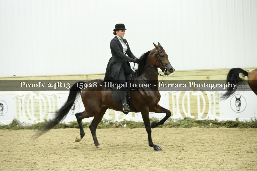 Proof 24R13_15928