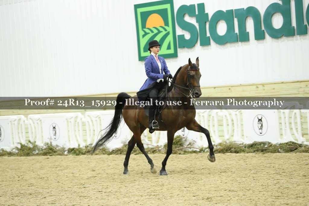 Proof 24R13_15929