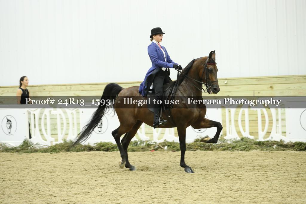Proof 24R13_15931