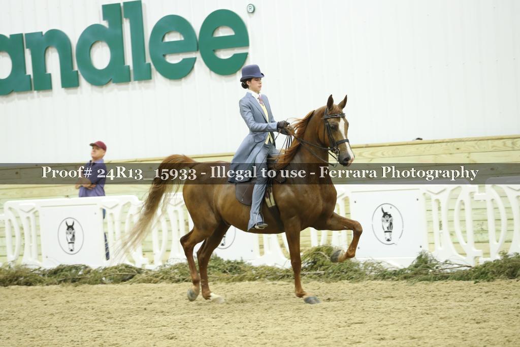Proof 24R13_15933