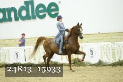 24R13_15933 proof