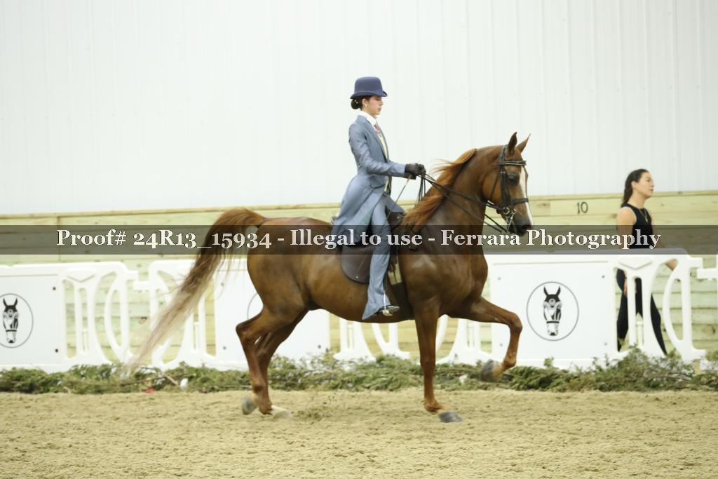 Proof 24R13_15934