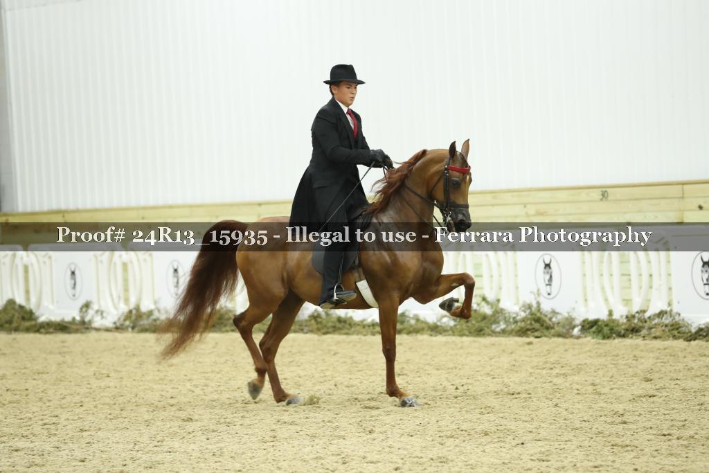 Proof 24R13_15935