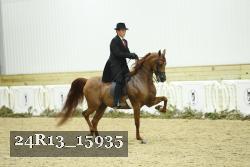 24R13_15935 proof