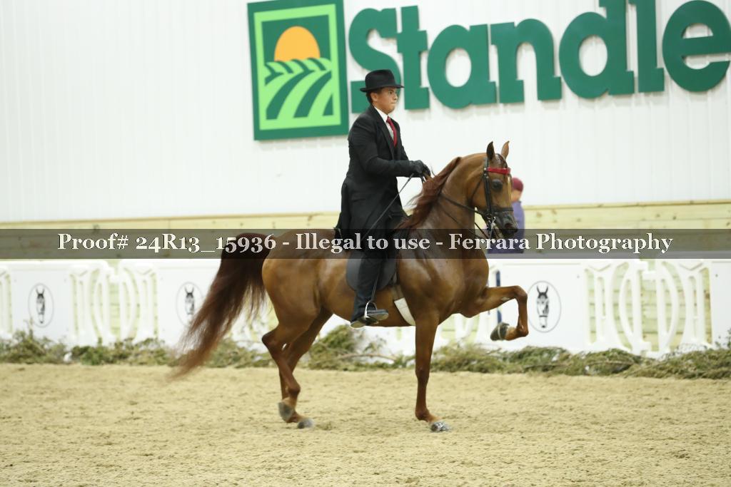 Proof 24R13_15936