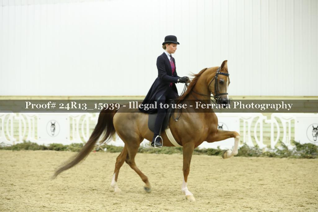 Proof 24R13_15939
