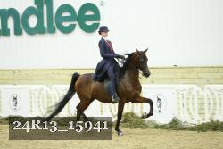 24R13_15941 proof
