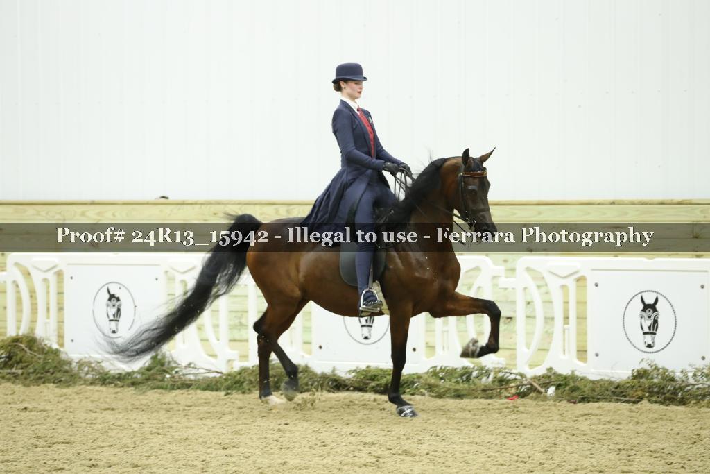 Proof 24R13_15942