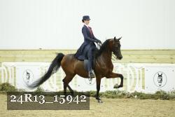 24R13_15942 proof
