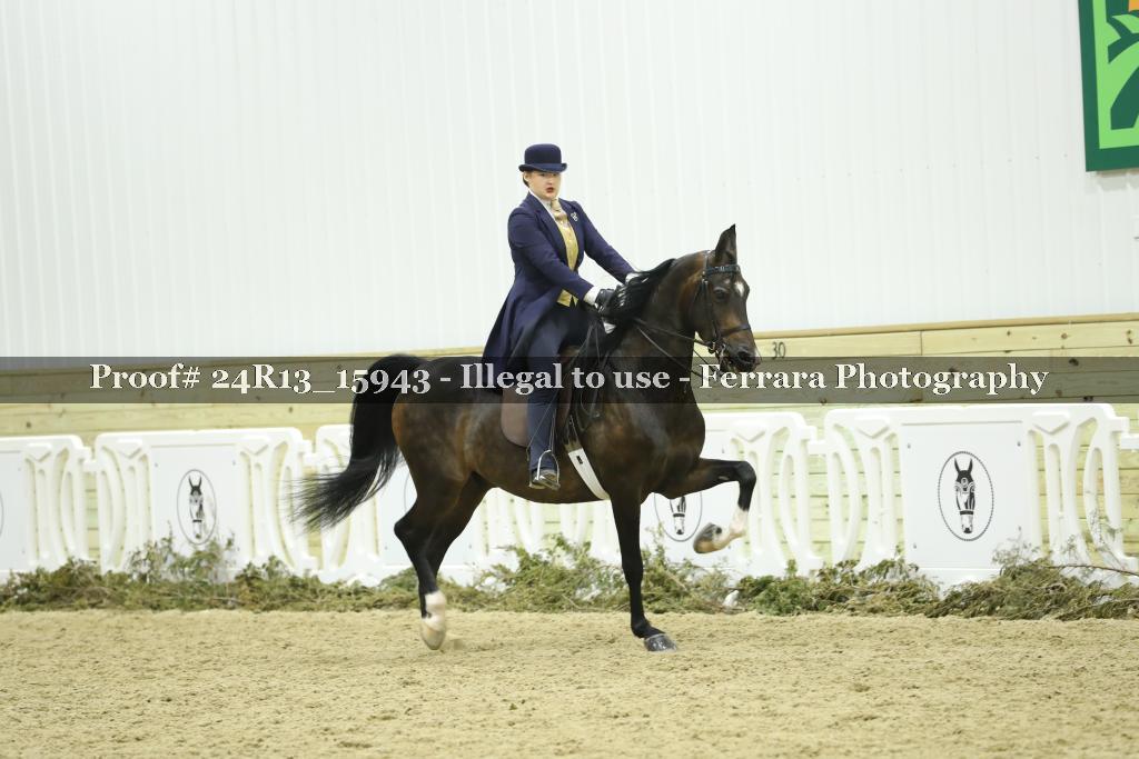 Proof 24R13_15943