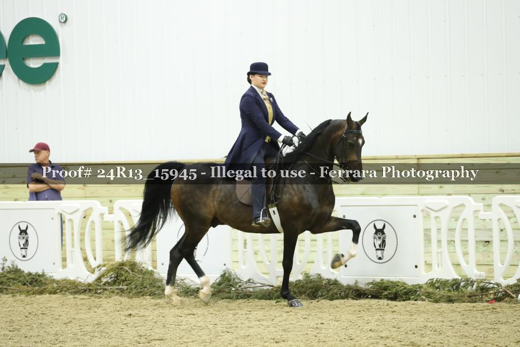 Proof 24R13_15945