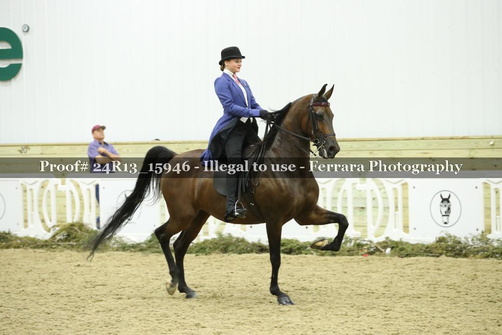 Proof 24R13_15946