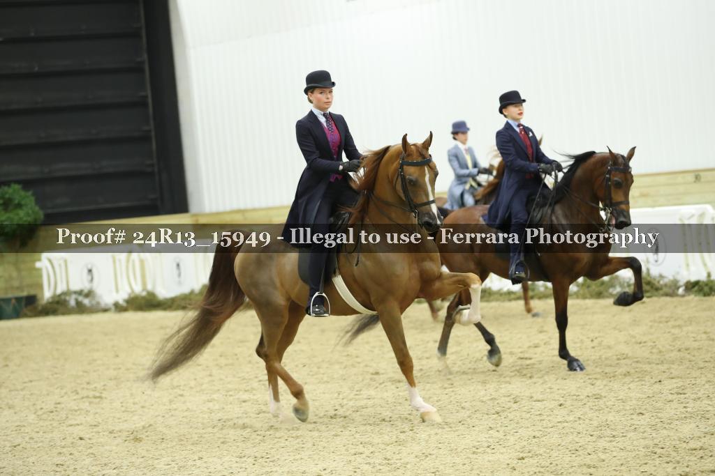 Proof 24R13_15949