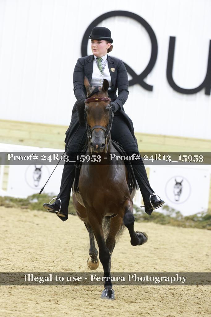 Proof 24R13_15953