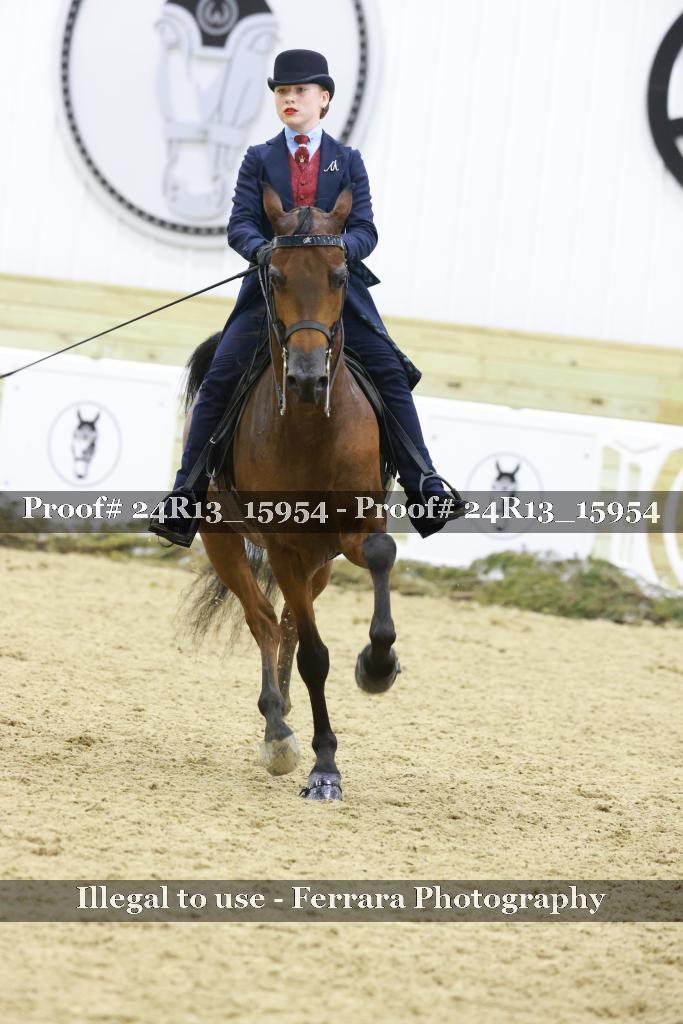 Proof 24R13_15954