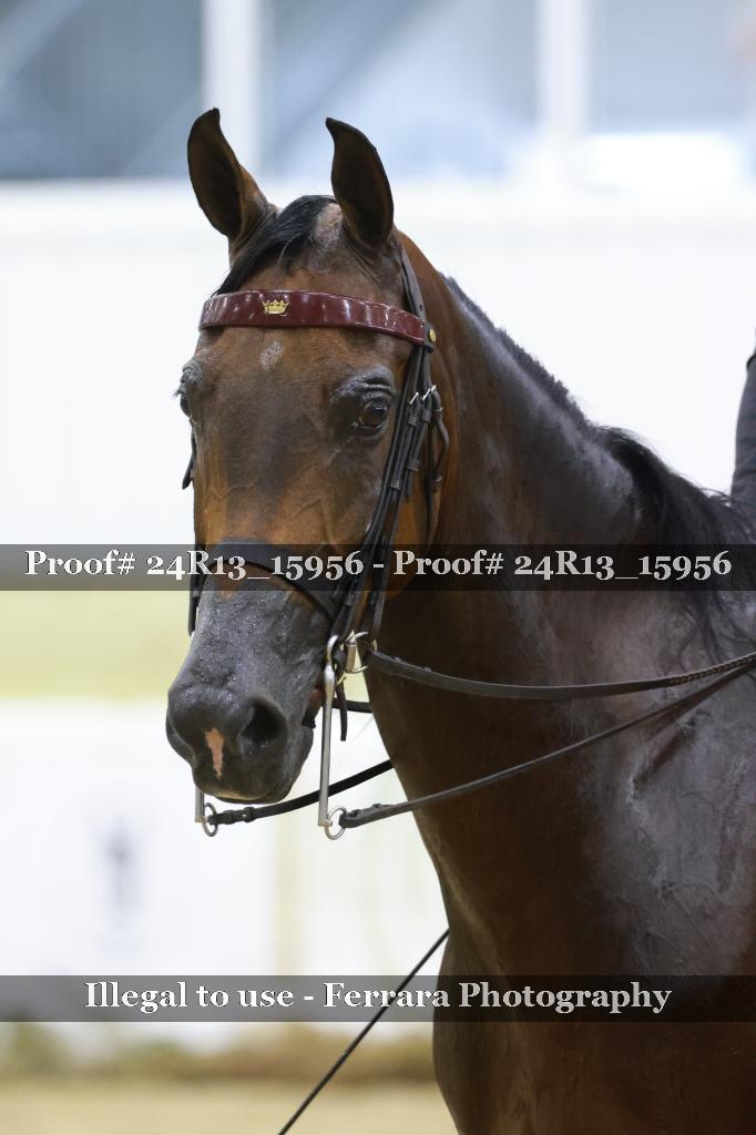 Proof 24R13_15956