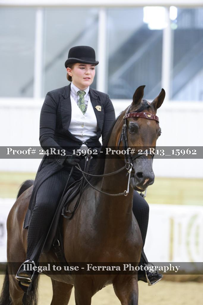 Proof 24R13_15962