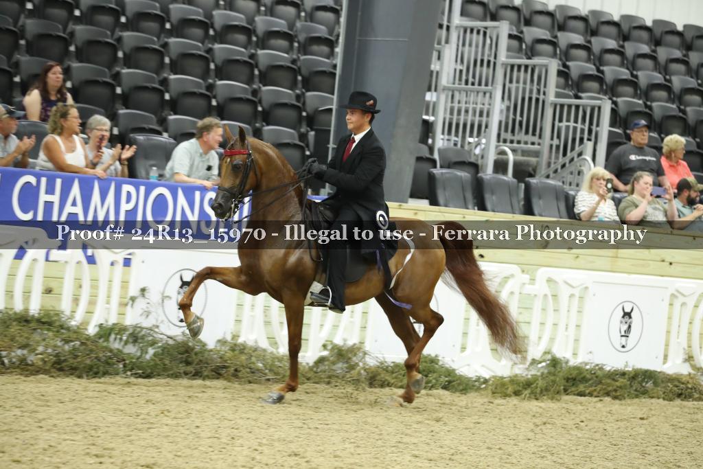 Proof 24R13_15970