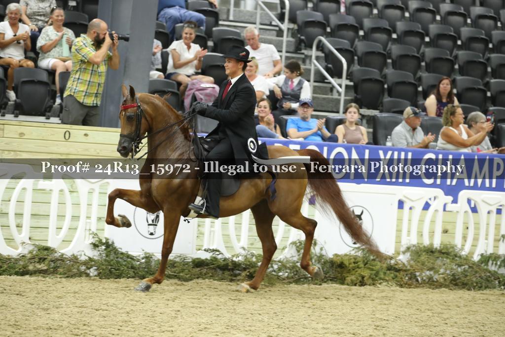 Proof 24R13_15972