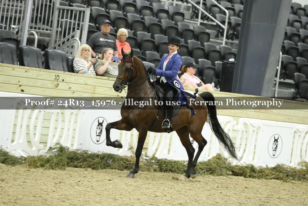 Proof 24R13_15976