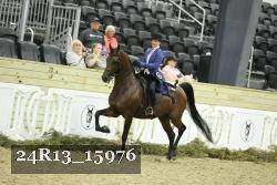 24R13_15976 proof