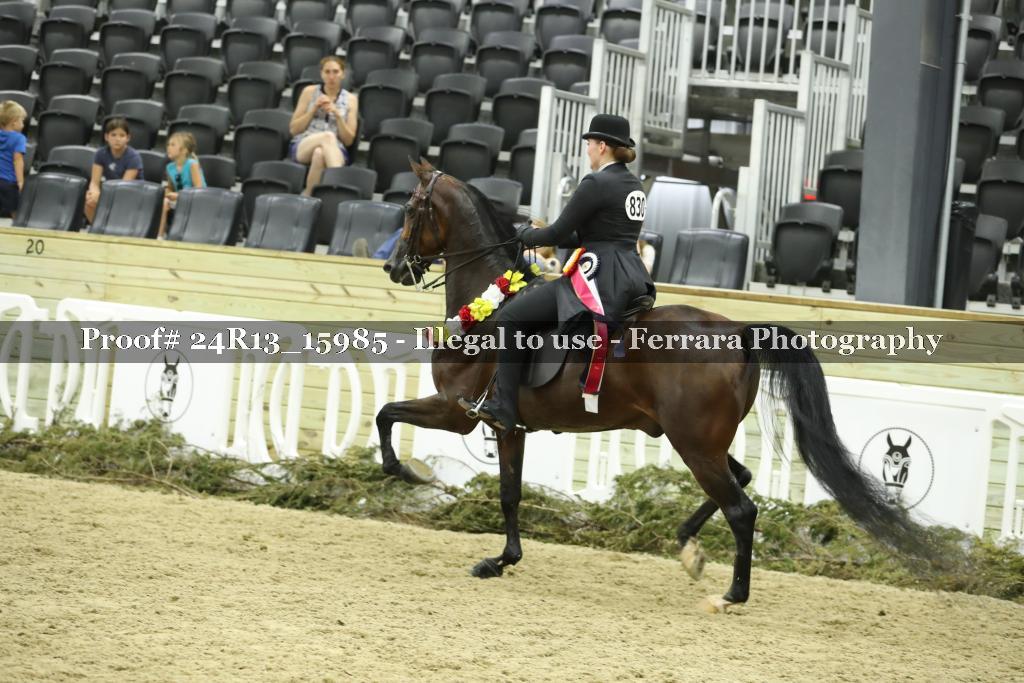 Proof 24R13_15985