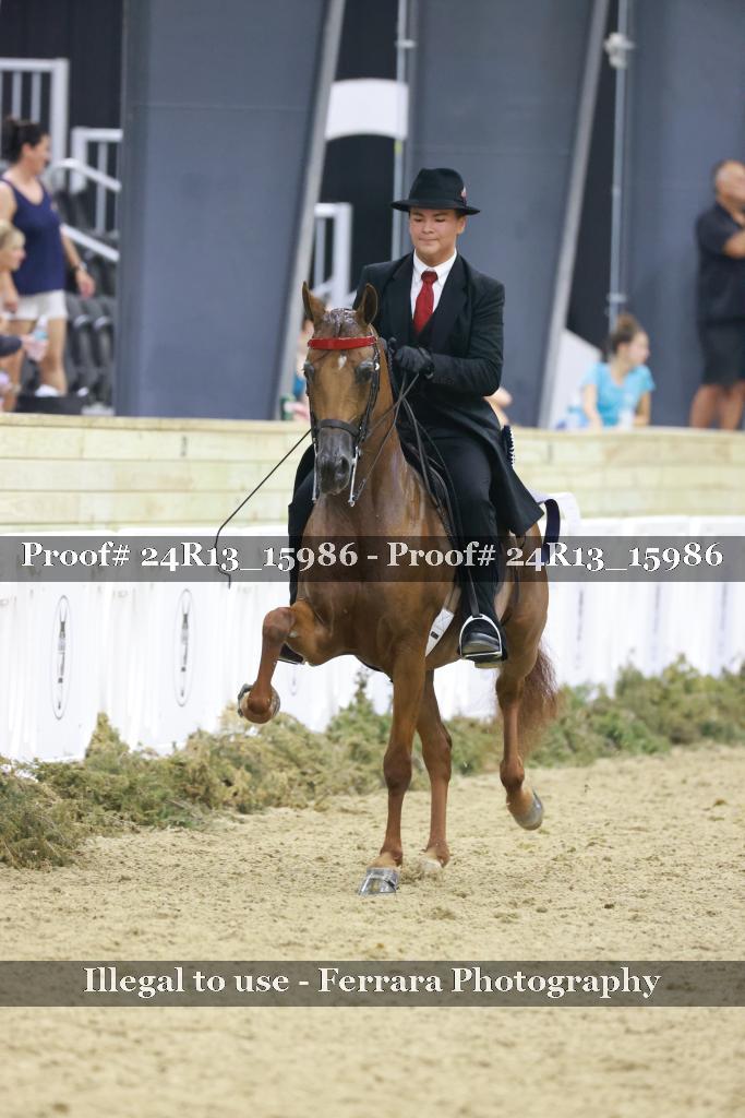 Proof 24R13_15986