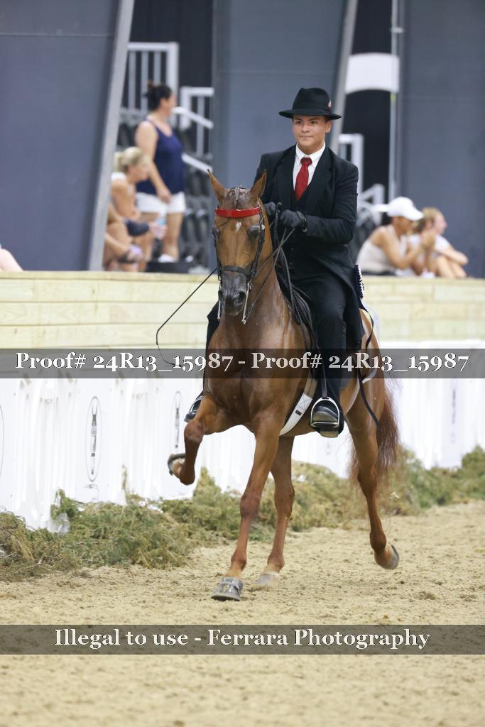 Proof 24R13_15987
