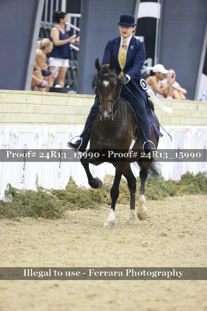 Proof 24R13_15990