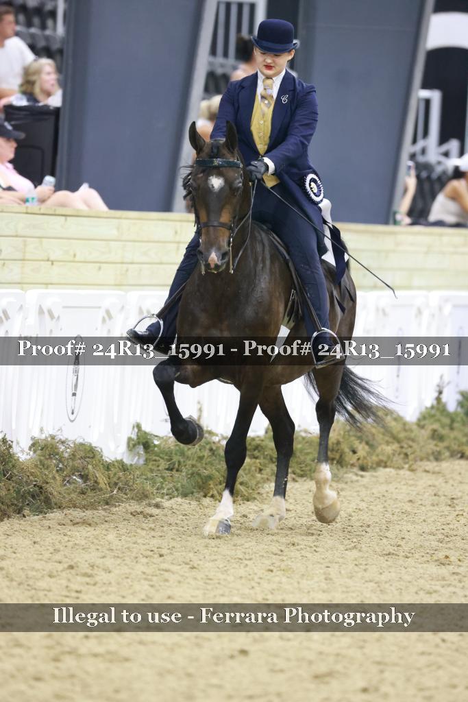 Proof 24R13_15991