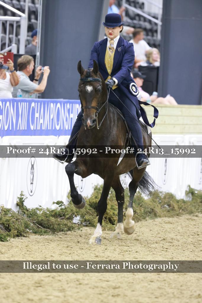 Proof 24R13_15992