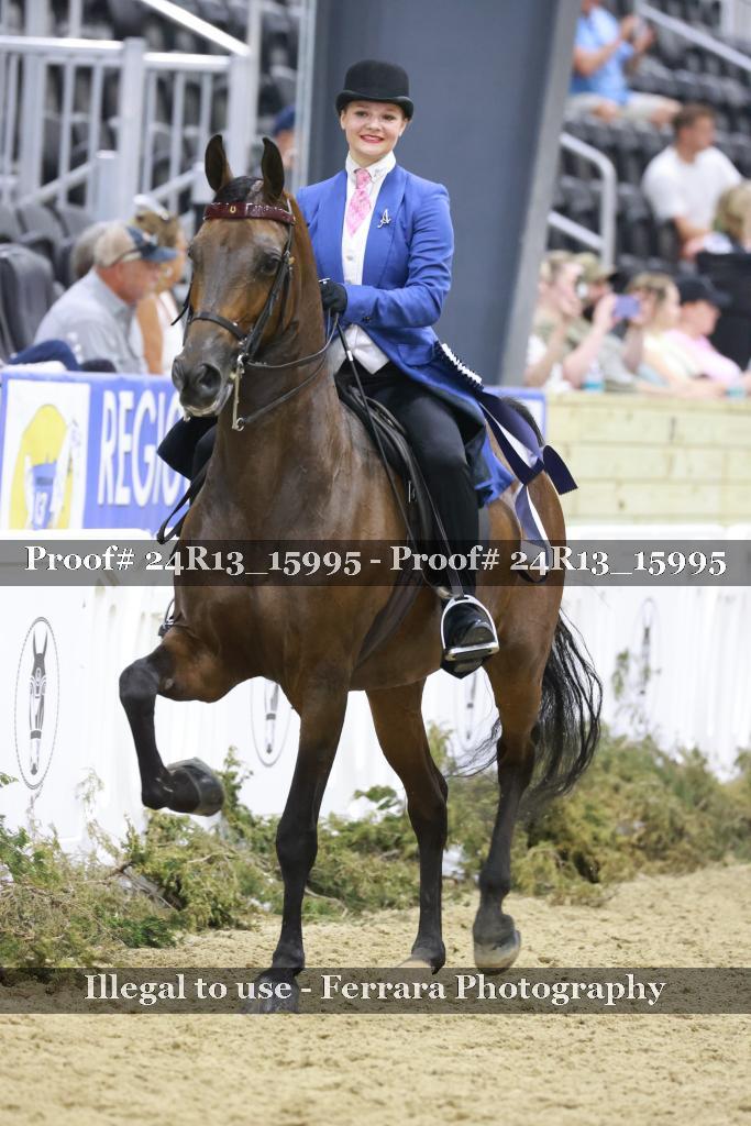 Proof 24R13_15995